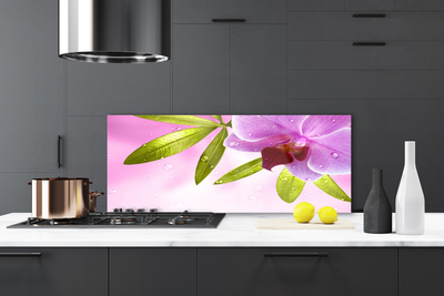 Küchenrückwand Spritzschutz Blume Blätter Pflanzen