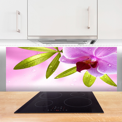 Küchenrückwand Spritzschutz Blume Blätter Pflanzen