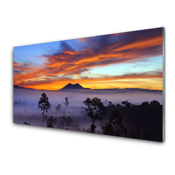 Küchenrückwand Spritzschutz Bäume Nebel Landschaft