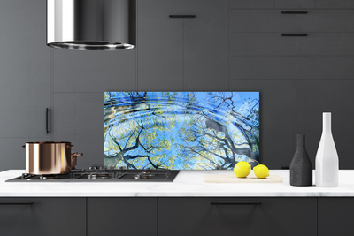 Küchenrückwand Spritzschutz Wasser Bäume Kunst