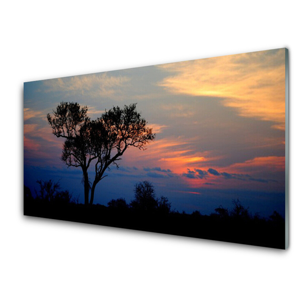 Küchenrückwand Spritzschutz Baum Natur