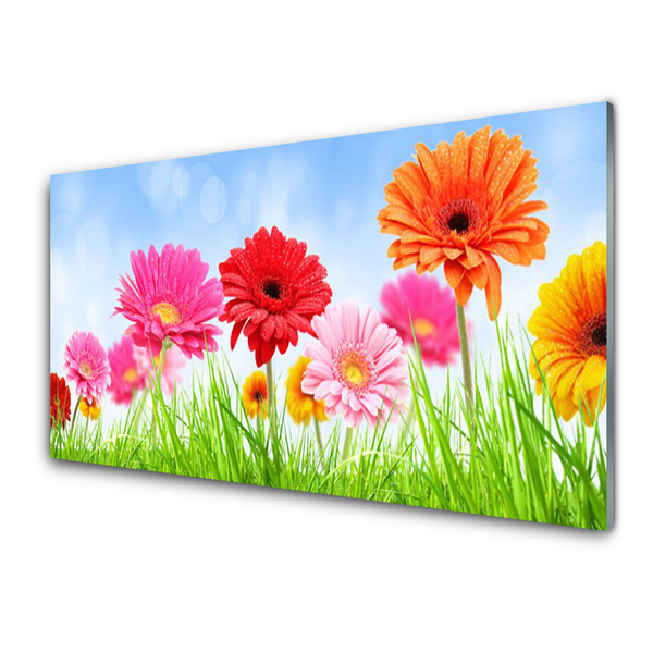 Küchenrückwand Spritzschutz Blumen Gras Pflanzen