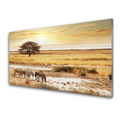 Küchenrückwand Spritzschutz Wüste Landschaft
