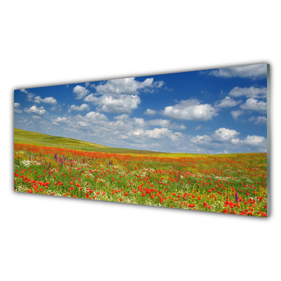 Küchenrückwand Spritzschutz Wiese Blumen Landschaft