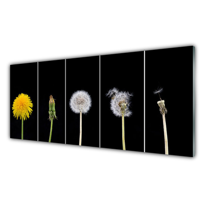 Küchenrückwand Spritzschutz Pusteblume Löwenzahn Pflanzen