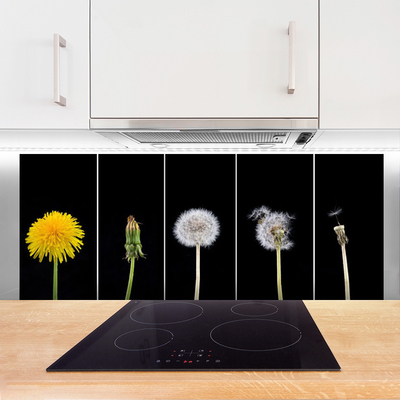 Küchenrückwand Spritzschutz Pusteblume Löwenzahn Pflanzen