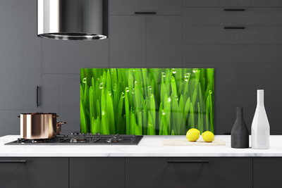 Küchenrückwand Spritzschutz Gras Natur