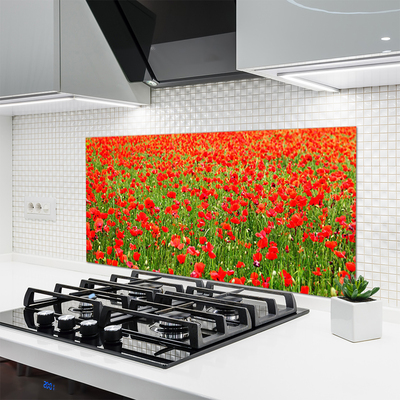 Küchenrückwand Fliesenspiegel Mohnblumen Natur