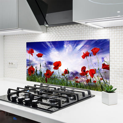 Küchenrückwand Fliesenspiegel Mohnblumen Natur