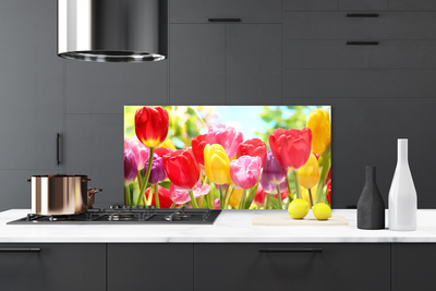 Küchenrückwand Fliesenspiegel Tulpen Pflanzen