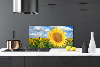 Küchenrückwand Fliesenspiegel Sonnenblumen Pflanzen
