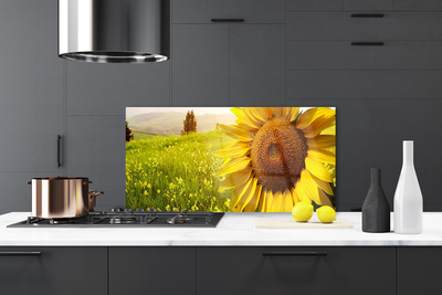 Küchenrückwand Fliesenspiegel Sonnenblume Pflanzen