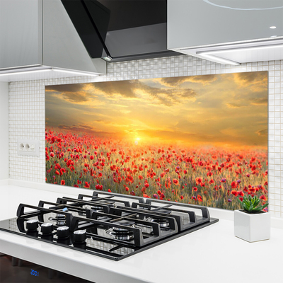 Küchenrückwand Fliesenspiegel Sonne Wiese Mohnblumen Natur