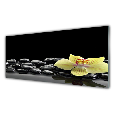 Küchenrückwand Fliesenspiegel Blume Steine Küche