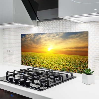Küchenrückwand Fliesenspiegel Sonne Wiese Sonnenblumen Natur