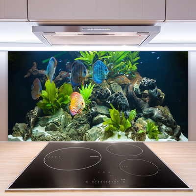 Küchenrückwand Fliesenspiegel Fische Steine Blätter Natur