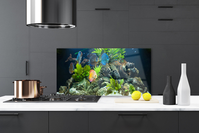 Küchenrückwand Fliesenspiegel Fische Steine Blätter Natur