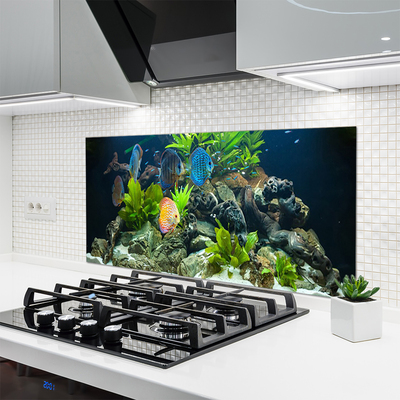 Küchenrückwand Fliesenspiegel Fische Steine Blätter Natur