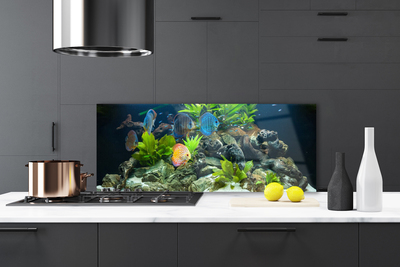 Küchenrückwand Fliesenspiegel Fische Steine Blätter Natur