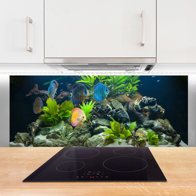 Küchenrückwand Fliesenspiegel Fische Steine Blätter Natur