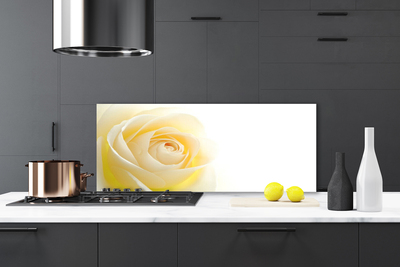 Küchenrückwand Fliesenspiegel Rose Pflanzen