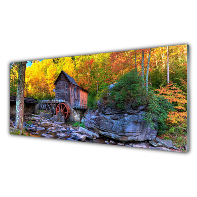 Küchenrückwand Fliesenspiegel Wald Steine Natur