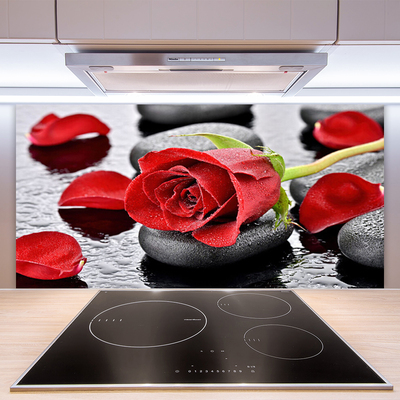 Küchenrückwand Fliesenspiegel Rose Steine Pflanzen
