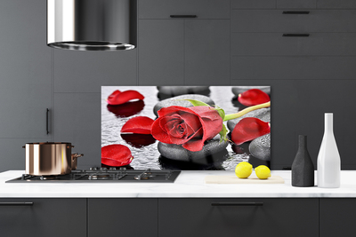 Küchenrückwand Fliesenspiegel Rose Steine Pflanzen