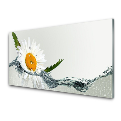 Küchenrückwand Fliesenspiegel Gänseblümchen Wasser Kunst