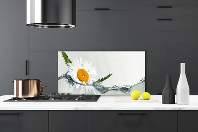 Küchenrückwand Fliesenspiegel Gänseblümchen Wasser Kunst