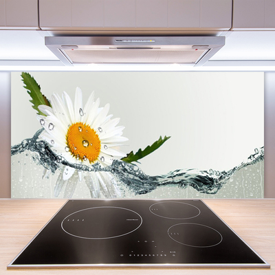Küchenrückwand Fliesenspiegel Gänseblümchen Wasser Kunst