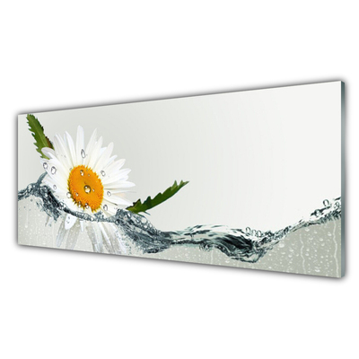Küchenrückwand Fliesenspiegel Gänseblümchen Wasser Kunst
