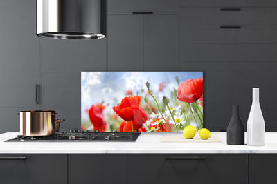 Küchenrückwand Fliesenspiegel Mohnblumen Gänseblümchen Pflanzen