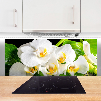 Küchenrückwand Fliesenspiegel Blumen Blätter Pflanzen