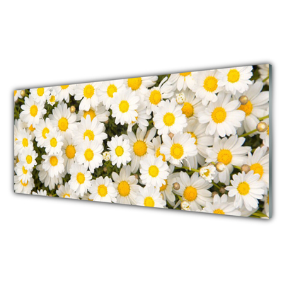 Küchenrückwand Fliesenspiegel Gänseblümchen Pflanzen