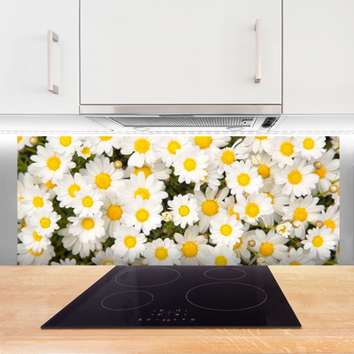 Küchenrückwand Fliesenspiegel Gänseblümchen Pflanzen