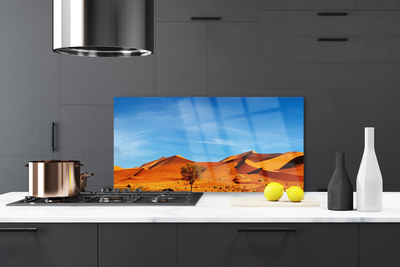 Küchenrückwand Fliesenspiegel Wüste Landschaft