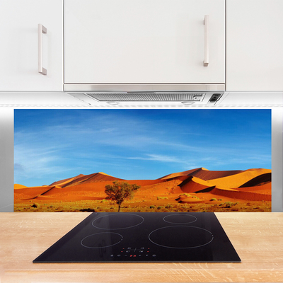 Küchenrückwand Fliesenspiegel Wüste Landschaft