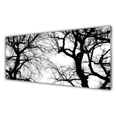 Küchenrückwand Fliesenspiegel Bäume Natur