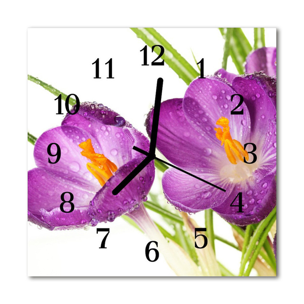 Glasuhr Küchenuhr Krokusse
