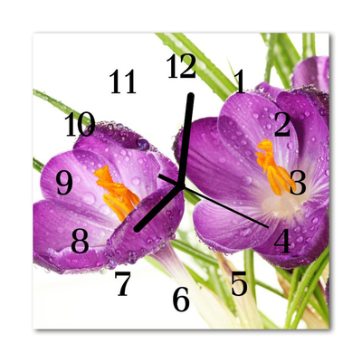 Glasuhr Küchenuhr Krokusse