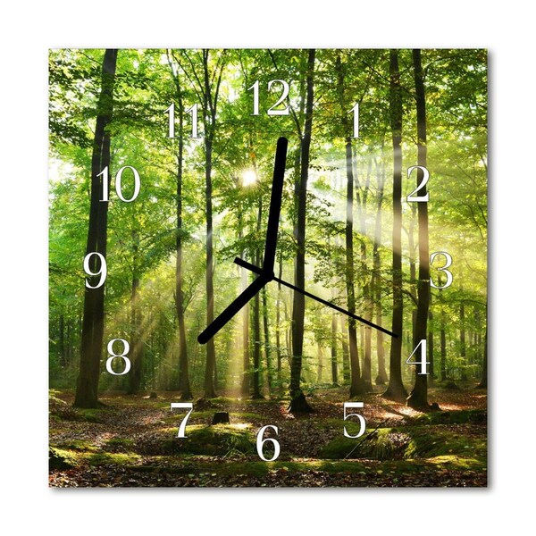 Glasuhr Wanduhr Wald Natur