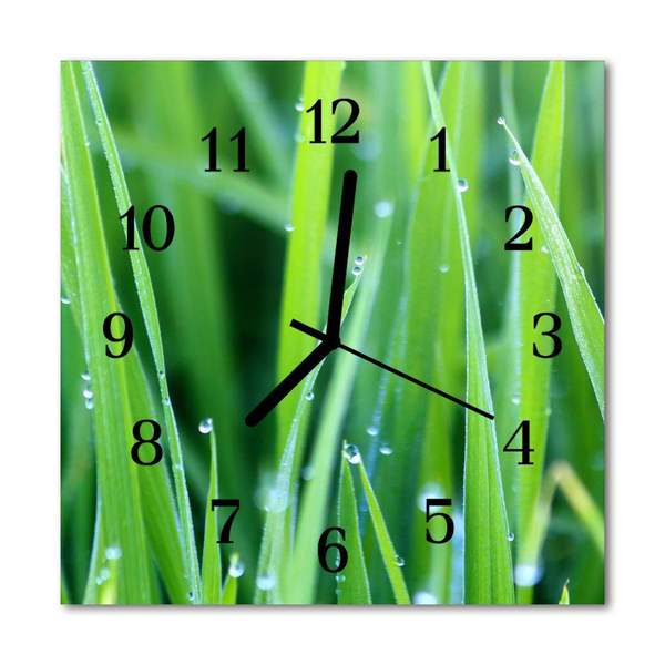 Glasuhr Wanduhr Gras Tau