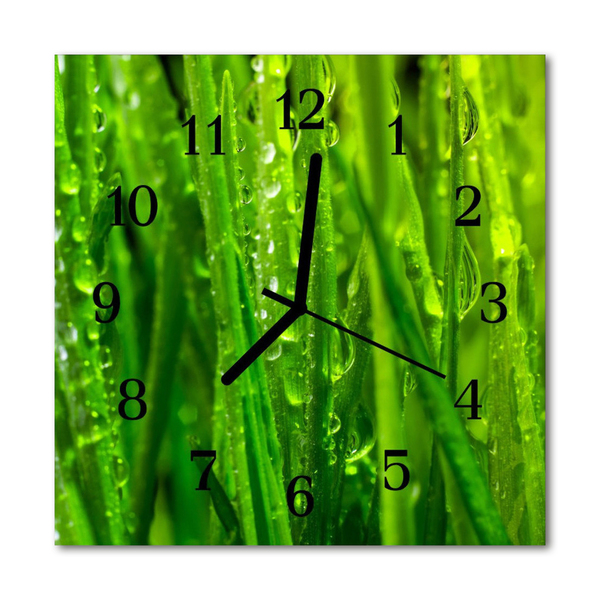 Glasuhr Wanduhr Gras