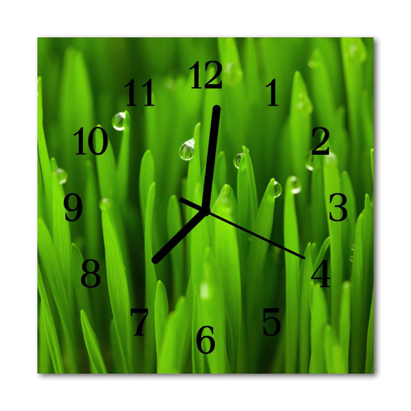 Glasuhr Wanduhr Gras Tau