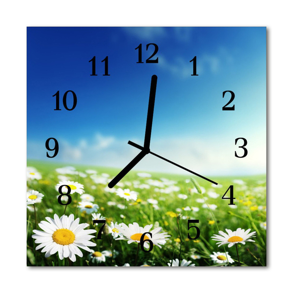 Glasuhr Wanduhr Wiese