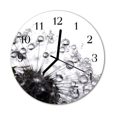 Glasuhr Küchenuhr Pusteblume