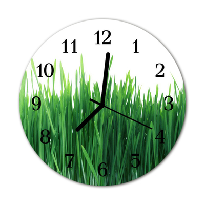 Glasuhr Küchenuhr Gras