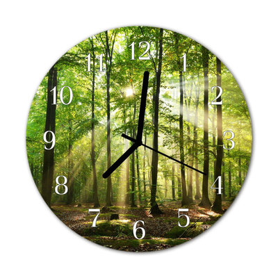 Glasuhr Wanduhr Wald Natur