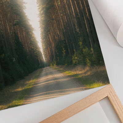 Kunstdruck leinwand Ein herrlicher Waldweg mit hohen Bäumen